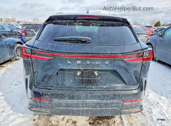 2T2GKCEZ6SC050066 2025 LEXUS NX Black Widok z tyłu