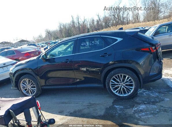 2T2HKCEZ2RC018424 2024 LEXUS NX 350H Black Widok wnętrza 360 stopni