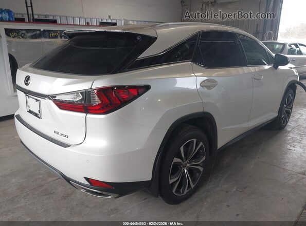 2T2HZMDA0MC299595 2021 LEXUS RX 350 Белый Задняя правая четверть