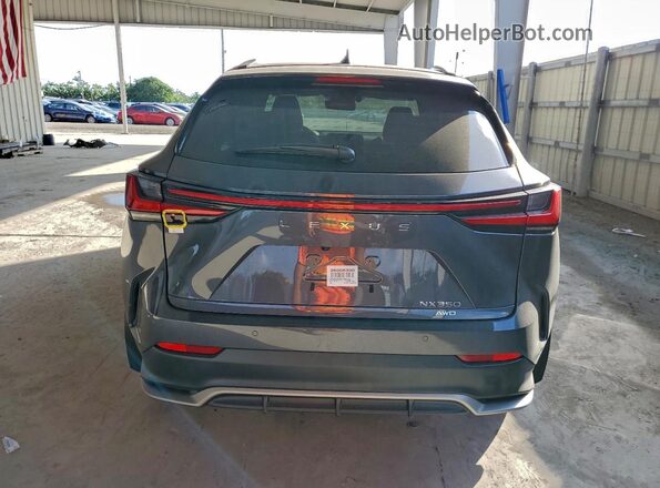 2T2KGCEZ0TC097316 2026 LEXUS NX Gray Widok z tyłu