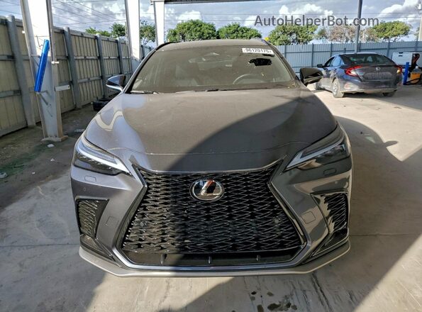 2T2KGCEZ0TC097316 2026 LEXUS NX Gray Widok z przodu