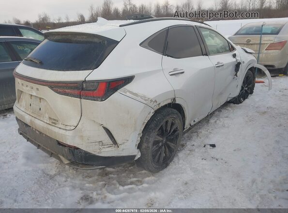 2T2KGCEZ2PC017455 2023 LEXUS NX 350 White უკანა მარჯვენა