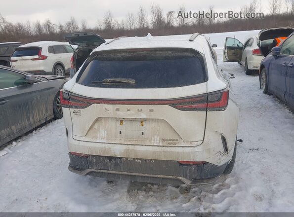 2T2KGCEZ2PC017455 2023 LEXUS NX 350 White 