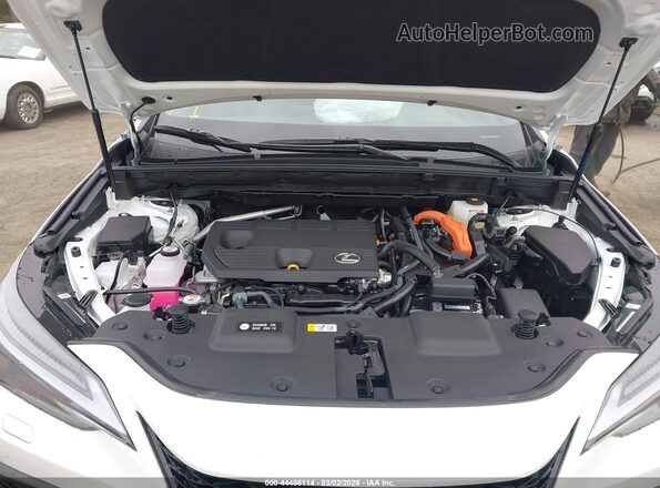 2T2KKCEZ2TC060704 2026 LEXUS NX 350H White Widok z tyłu