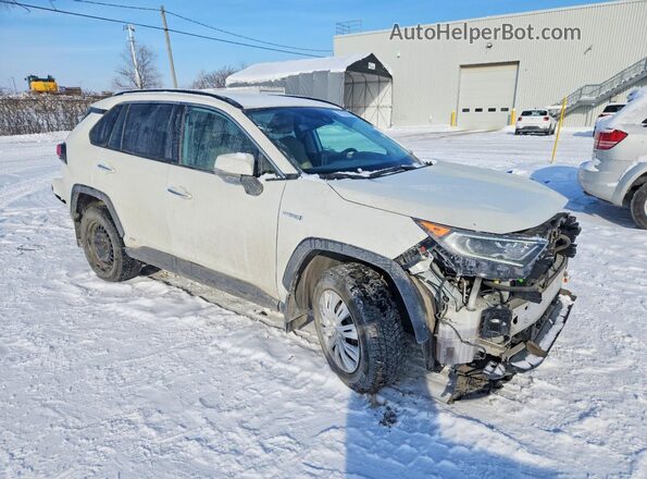 2T3DWRFV1LW094199 2020 TOYOTA LIMITED Белый Передняя правая четверть