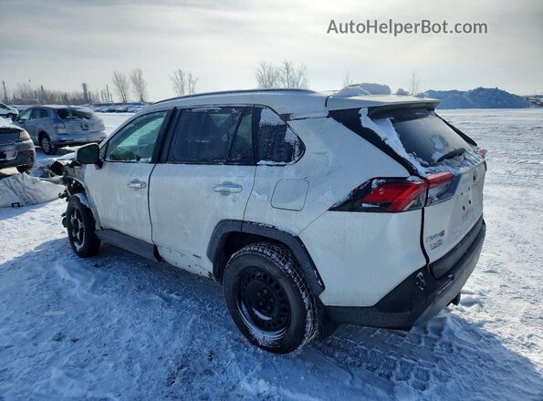 2T3DWRFV1LW094199 2020 TOYOTA LIMITED Белый Задняя левая четверть
