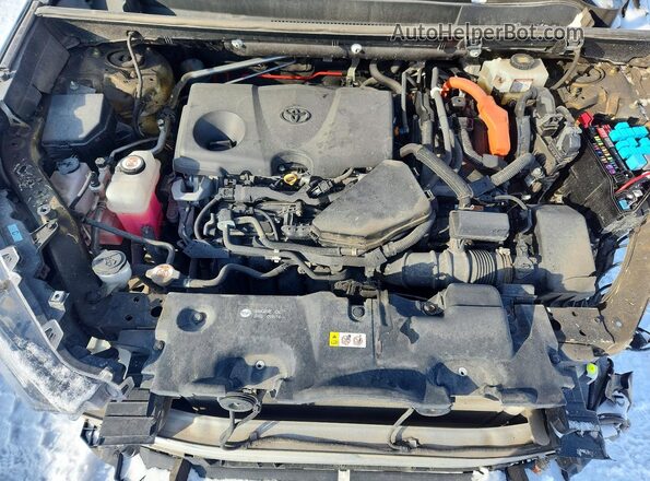 2T3DWRFV1LW094199 2020 TOYOTA LIMITED Белый Вид задней части салона