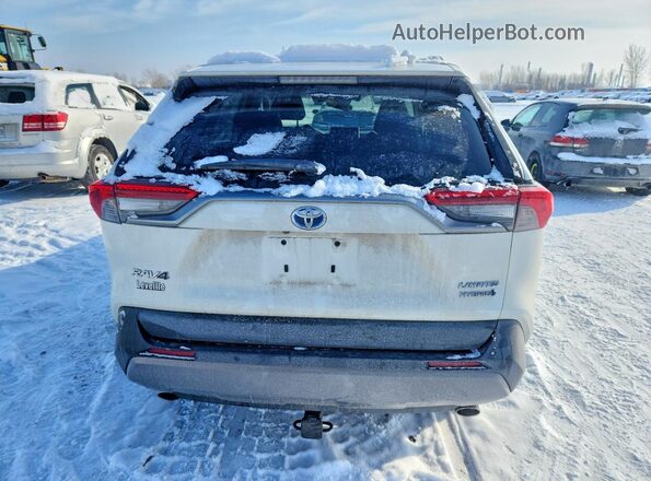 2T3DWRFV1LW094199 2020 TOYOTA LIMITED Белый Вид сзади