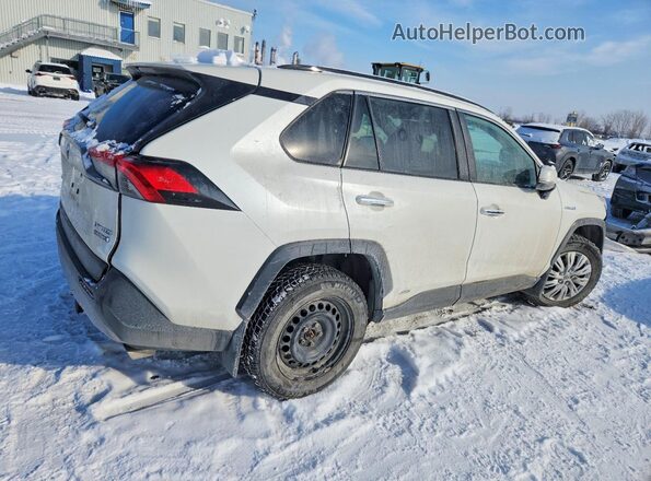 2T3DWRFV1LW094199 2020 TOYOTA LIMITED Белый Задняя правая четверть