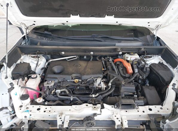2T3DWRFV7KW043272 2019 TOYOTA LIMITED White უკანა ხედი