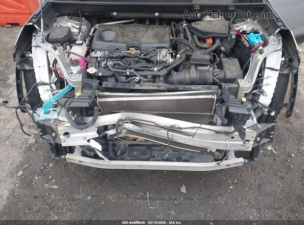 2T3EWRFV0KW045689 2019 TOYOTA RAV4 HYBRID Серебряный Вид сзади