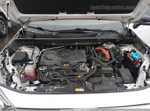 2T3EWRFV9KW040751 2019 TOYOTA RAV4 HYBRID White Widok z tyłu