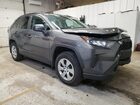 2019 Toyota Rav4 Le Gray vin: 2T3F1RFV4KC029208