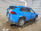 2019 Toyota Rav4 Le Blue vin: 2T3F1RFVXKW048196