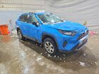 2019 Toyota Rav4 Le Blue vin: 2T3F1RFVXKW048196