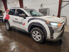 2019 Toyota Rav4 Le White vin: 2T3H1RFV3KC020749