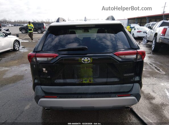 2T3J1RFV1KW034455 2019 TOYOTA RAV4 Black 