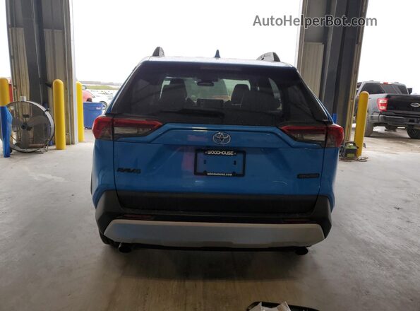 2T3J1RFV3LC097656 2020 TOYOTA RAV4 Blue Rear view
