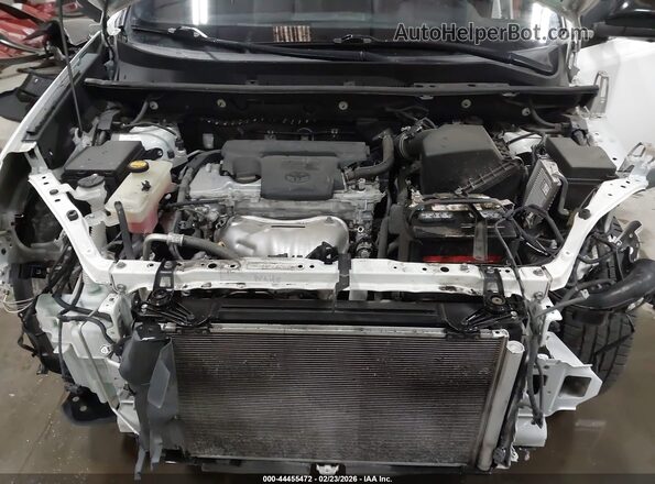 2T3JFREV5GW419284 2016 TOYOTA RAV4 Белый Вид сзади