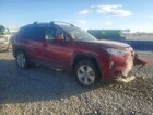 2019 Toyota Rav4 Xle Red vin: 2T3P1RFV7KC043706