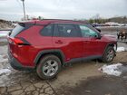 2025 Toyota Rav4 Red vin: 2T3RWRFV8SW262988
