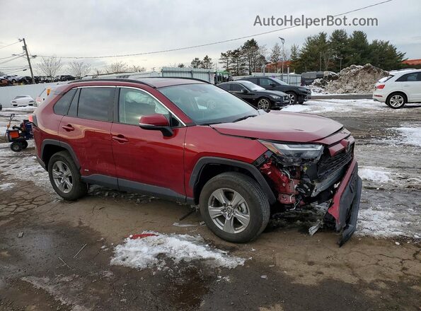 2T3RWRFV8SW262988 2025 TOYOTA RAV4 Red Delantero derecho
