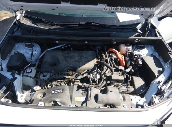 2T3UWRFV3RW215209 2024 TOYOTA RAV4 HYBRID White Widok z tyłu