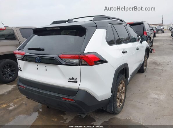 2T3UWRFV3RW215209 2024 TOYOTA RAV4 HYBRID White Tył prawy