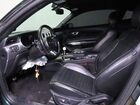 2019 Ford Mustang Bullitt Зеленый vin: 1FA6P8K05K5501642
