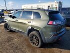 2019 Jeep Cherokee Trailhawk Green vin: 1C4PJMBX5KD169410