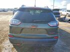 2019 Jeep Cherokee Trailhawk Green vin: 1C4PJMBX5KD169410
