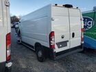 2025 Ram Promaster 2500 2500 High Белый vin: 3C6LRVDG6SE528537