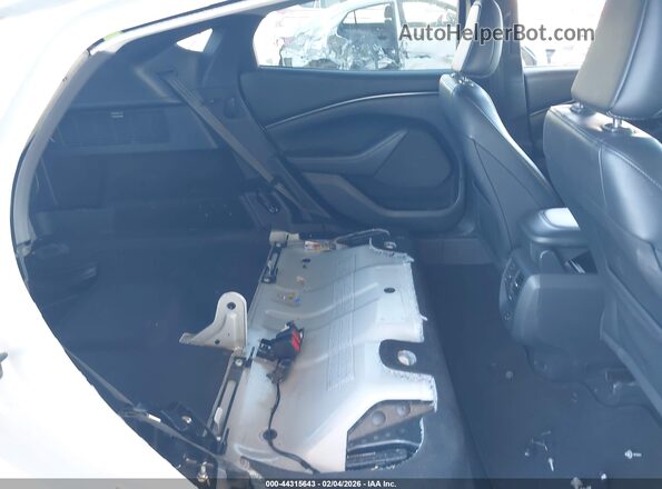 3FMTK1RM3MMA43376 2021 FORD MUSTANG MACH-E Белый Вид наклейки с VIN-кодом