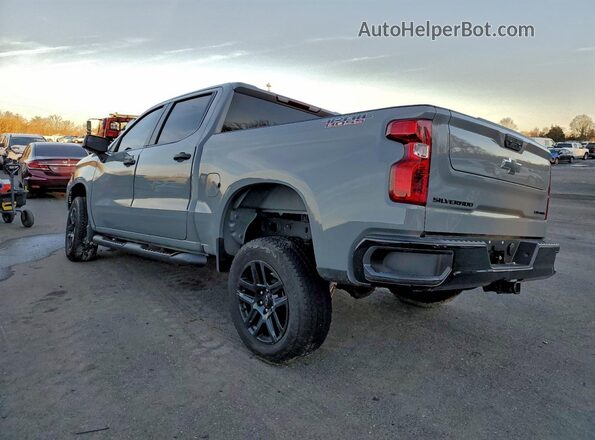 3GCPDCEK2RG435030 2024 CHEVROLET SILVERADO Gray Задня ліва чверть