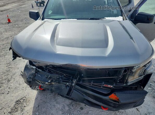 3GCPYFED6KG149405 2019 CHEVROLET SILVERADO Серый Вид задней части салона