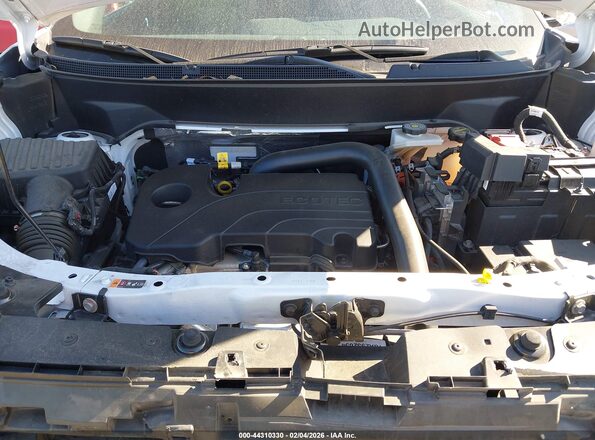 3GKALMEG8SL317477 2025 GMC TERRAIN Белый Вид сзади