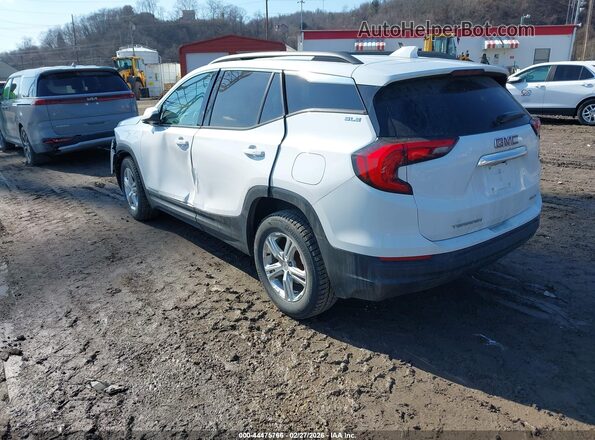 3GKALTEV3KL276958 2019 GMC TERRAIN Белый Задняя левая четверть