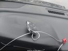 2019 Gmc Terrain Denali Черный vin: 3GKALXEX0KL134382