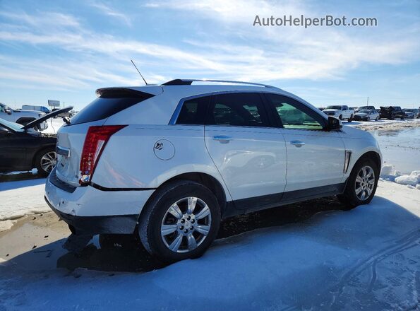 3GYFNBE35GS581406 2016 CADILLAC SRX Белый Задняя правая четверть