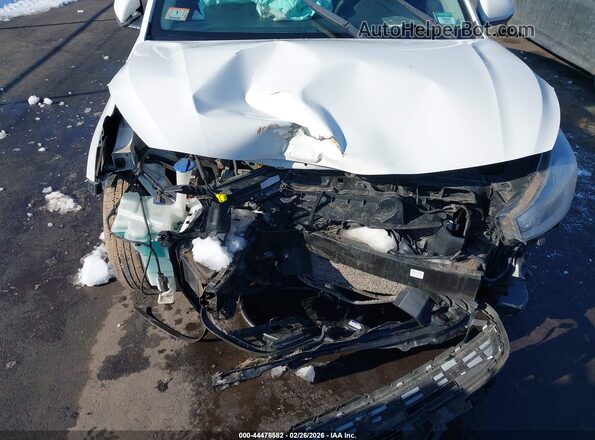 3KPA24AB0KE157799 2019 KIA RIO Белый Вид спереди