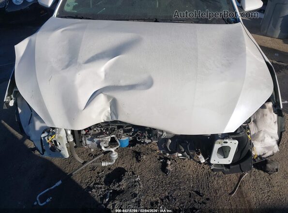 3KPF24AD4RE732309 2024 KIA FORTE Белый Вид спереди