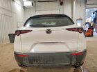 2024 Mazda Cx-30 White vin: 3MVDMBAM2RM647902