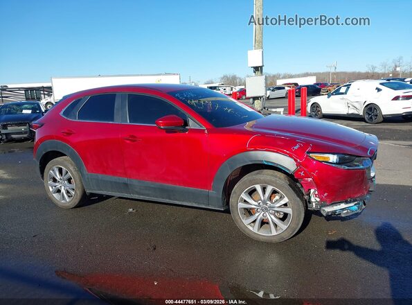 3MVDMBBM0PM509531 2023 MAZDA CX-30 Красный Вид задней части салона