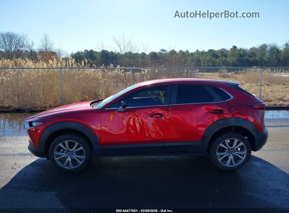 3MVDMBBM0PM509531 2023 MAZDA CX-30 Красный Панорамный вид салона 360°