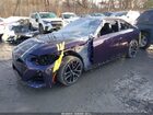 2024 Bmw M240 I Xdrive Purple vin: 3MW53CM07R8E42055