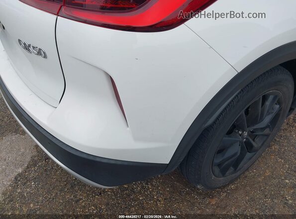 3PCAJ5AA6NF115524 2022 INFINITI QX50 Белый Вид спереди