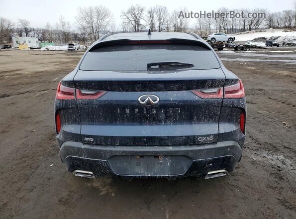 3PCAJ5J30NF101166 2022 INFINITI QX55 Синий Вид сзади