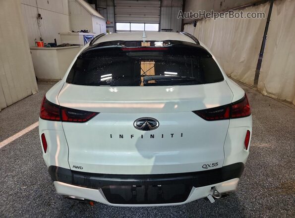 3PCAJ5JR3RF108400 2024 INFINITI QX55 White Widok z tyłu