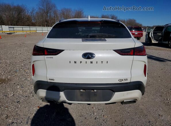 3PCAJ5KR2RF101730 2024 INFINITI QX55 Белый Вид сзади