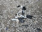 2024 Infiniti Qx55 Essential Серебряный vin: 3PCAJ5KR9RF110912